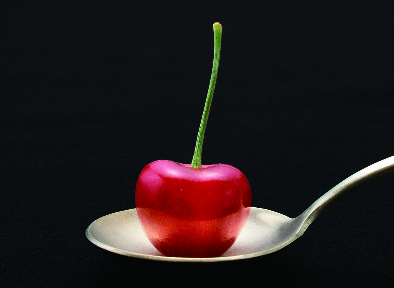 【2026年】山形県産「温室さくらんぼ」出荷開始