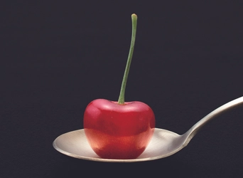 【2026年】山形県産「温室さくらんぼ」出荷開始