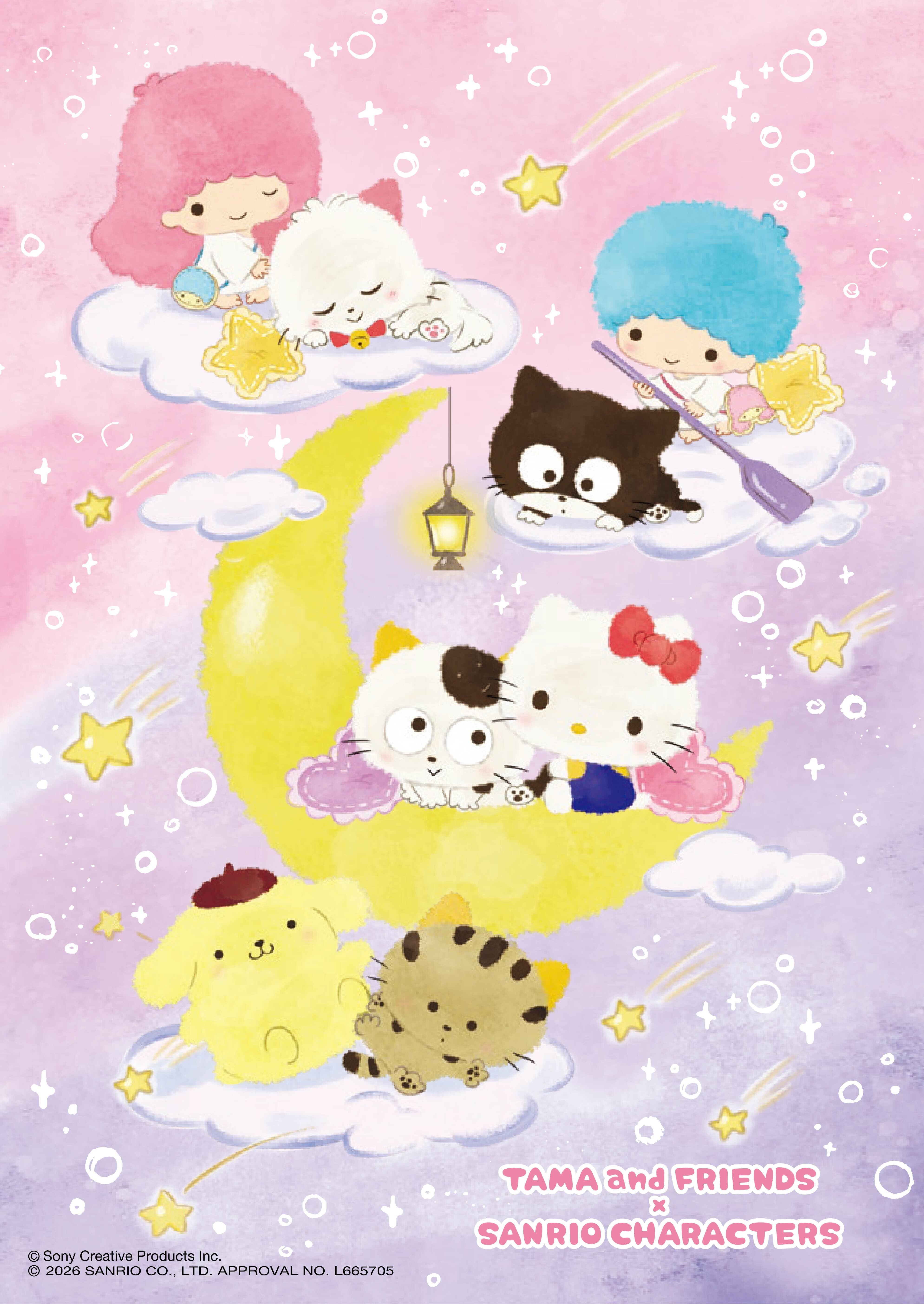 タマ&フレンズ サンリオキャラクターズ 第3弾 コラボレーションアート(夜空)