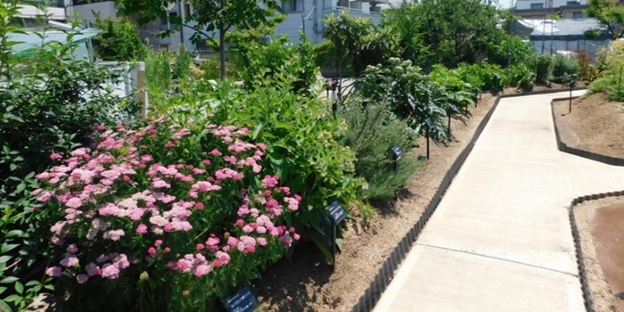 近畿大学薬学部薬用植物園