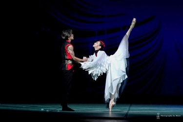 食と芸術を1日でお得に堪能できる2日間
PASONA Awaji World Balletコラボプラン3月28日、4月4日限定販売