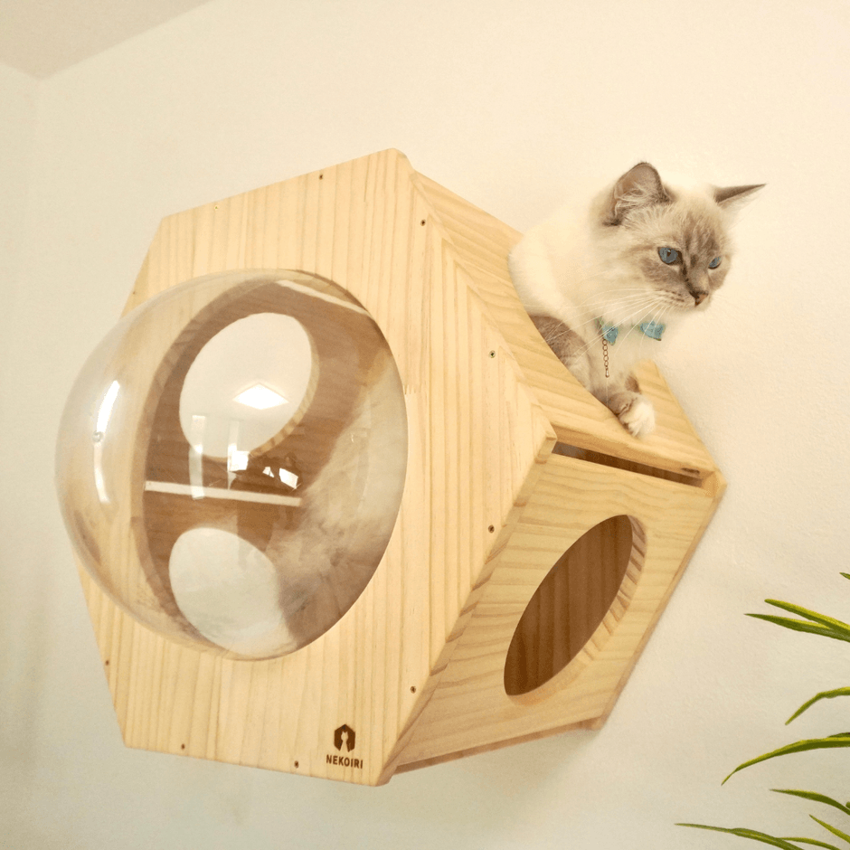 壁に穴をあけなくても簡単に設置できる キャットステップブランド 