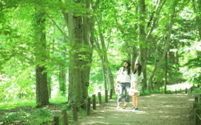 六甲高山植物園