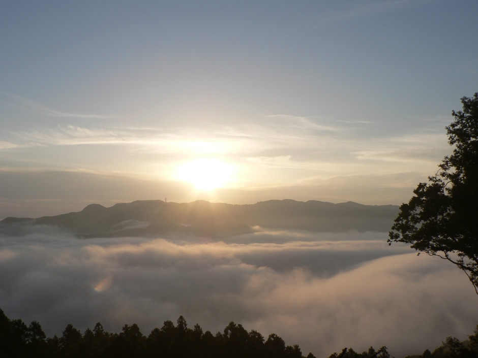 宝登山からの雲海イメージ