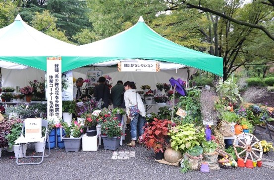 新種、希少種など人気の花を中心に展示・販売する 「日比谷セレクション」
