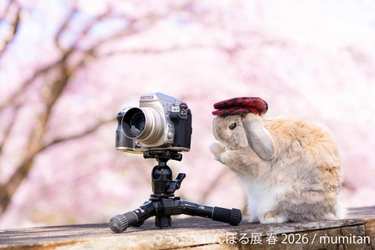 祝10周年「うさぎしんぼる展」が過去最大規模で名古屋開催決定！ 2月28日(土)～ 新作＆限定グッズの展開や 3月3日“うさぎの日”限定イベントなど見どころ満載