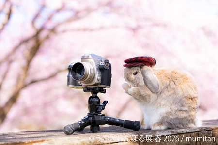 祝10周年「うさぎしんぼる展」が過去最大規模で名古屋開催決定！ 2月28日(土)～ 新作＆限定グッズの展開や 3月3日“うさぎの日”限定イベントなど見どころ満載