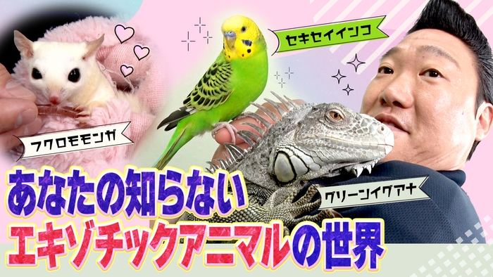 あなたの知らないエキゾチックアニマルの世界