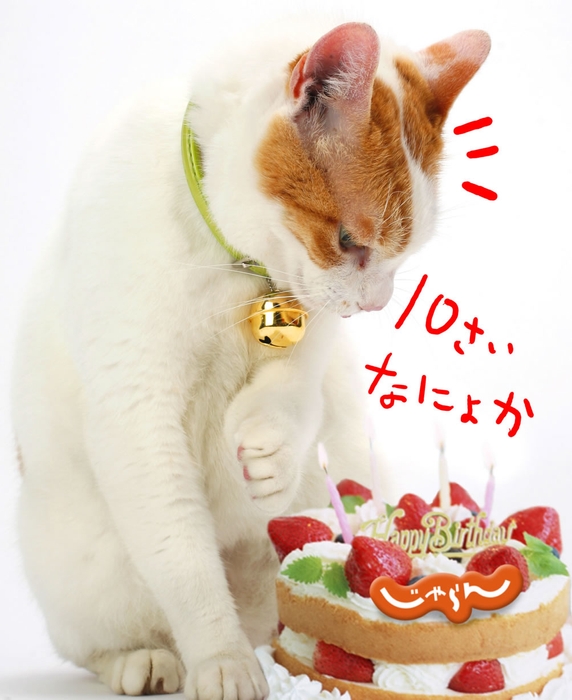 『じゃらんnet』は11月11日で10歳!「7,777名にありがとうプレゼント」キャンペーン