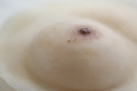 乳がんで乳房を摘出された方向けの 温泉にも入れる装着式人工乳房「ルアナブレスト(R)」の 新規販売を始めた株式会社カノアクルーが、 1月10日(月)より始まるよこはま乳がん学校の趣旨に共感し協賛