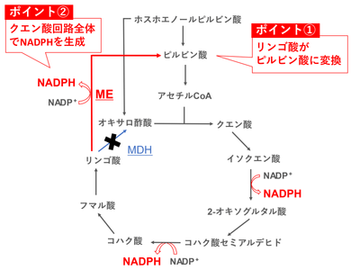 図5