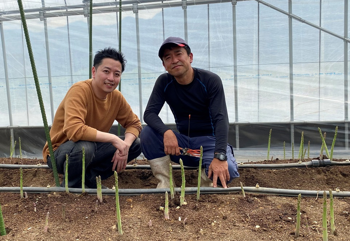難しい無農薬のアスパラガスを栽培する福岡県糸島の藤井グリーンファームさんを訪問。毎年お世話になっています。