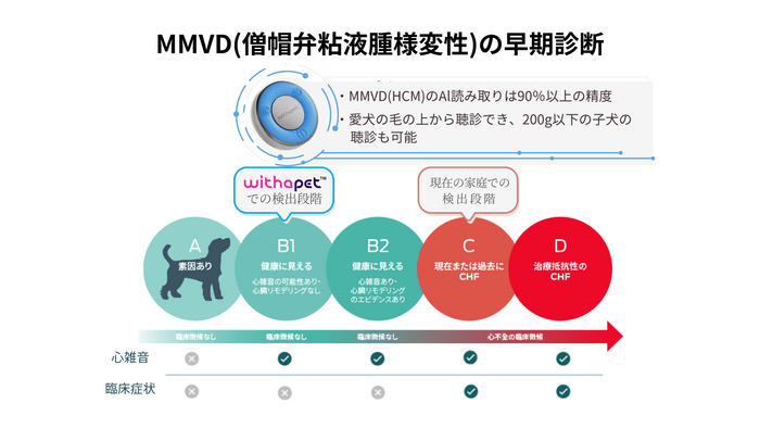 MMVD(僧帽弁粘液腫様変性)ステージ