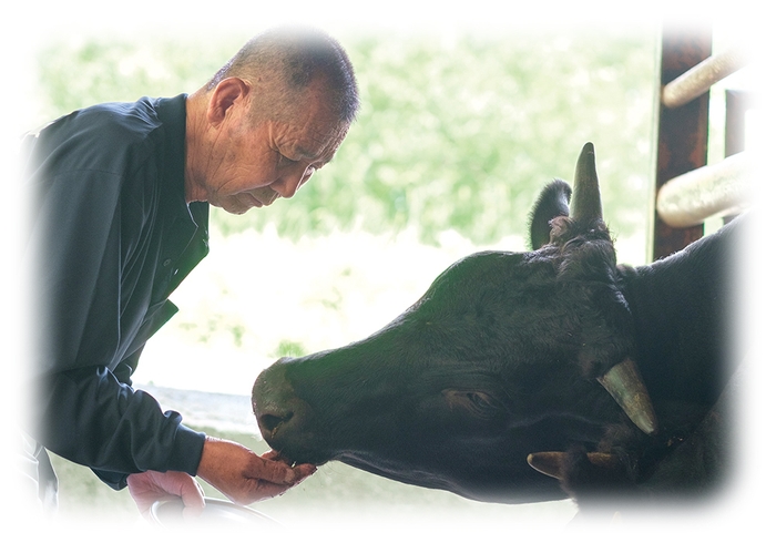 オリーブ牛生産者とオリーブ牛