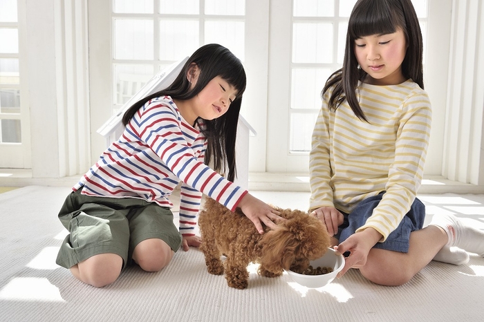 ワンちゃんとふれあい(1)