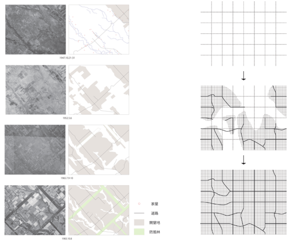 格子状防風林形成過程