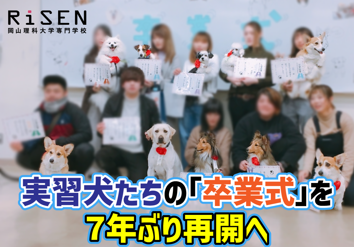 【岡山理科大学専門学校】実習犬たちの「卒業式」を7年ぶり再開へ