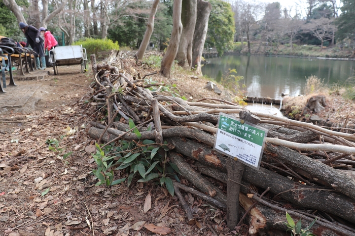 井の頭恩賜公園2