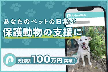 あなたのペットが保護犬猫の命をつなぐ―動物専用SNS『AnimaPick』、無料でできる新しい支援の形