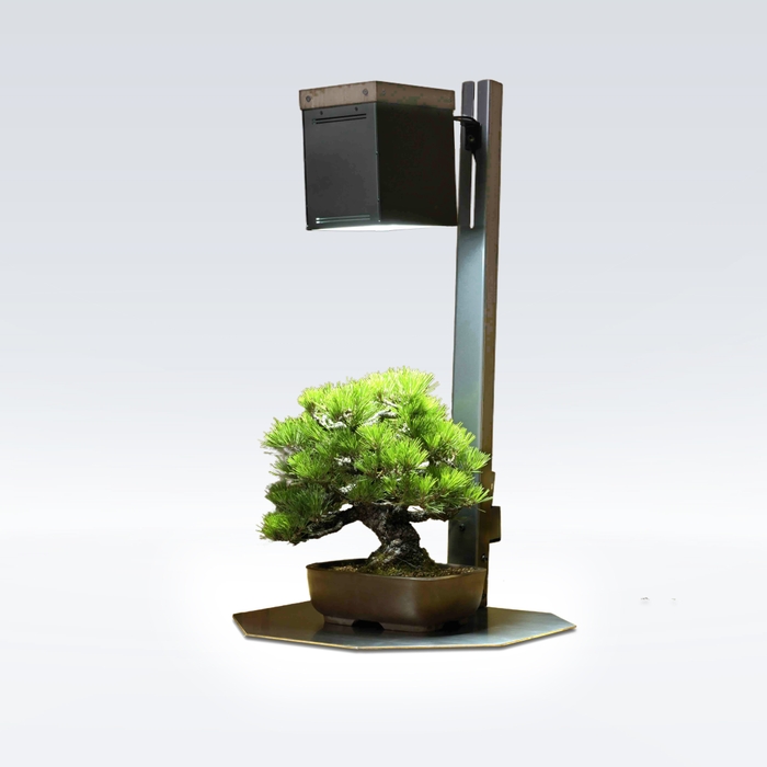 サイリウムスタンドライト