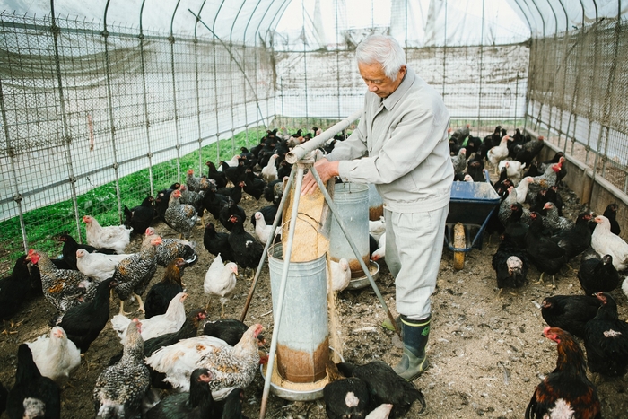 信州上田地どり 真田丸もメニューに