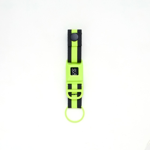 MINI BUCKLE KEY CHAIN