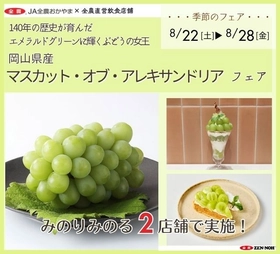 ～140年の歴史が育んだエメラルドグリーンに輝くぶどうの女王～
全農直営飲食店舗で「岡山県産マスカット・オブ・アレキサンドリアフェア」を
８月２２日(土)より順次開催