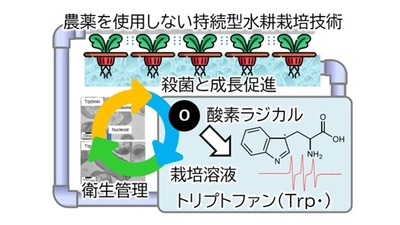 【名城大学】プラズマ照射で農薬を使用せず栽培溶液を"その場殺菌" ～低環境負荷技術を通じた食料安全保障への貢献に期待～