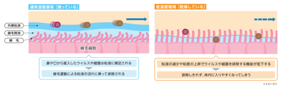 線毛運動