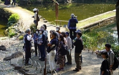 庭園ガイドの様子