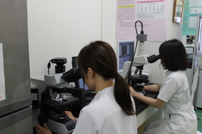 精液性状検査の様子