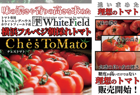 最先端スマート農業を活用し “横浜で最高のトマトづくり”を目指す「WHITE FIELD」、 そこで生まれたトマト「チェストマト」を原材料とした 「チェストマトジュース」を5名様にプレゼント！