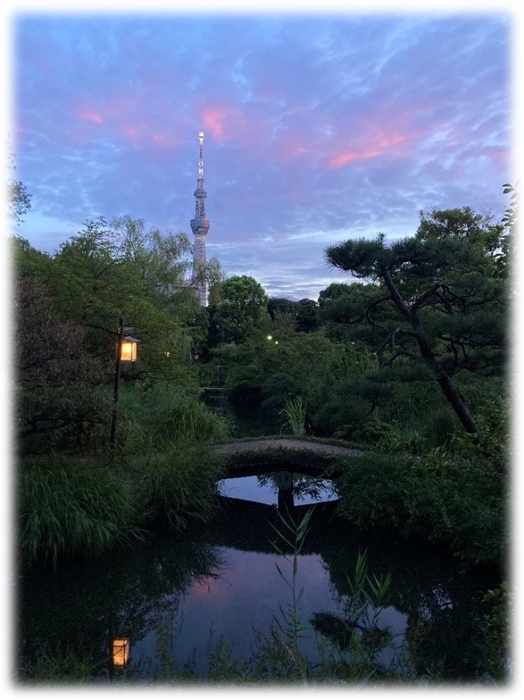 虫ききの会(過年度開催の様子)