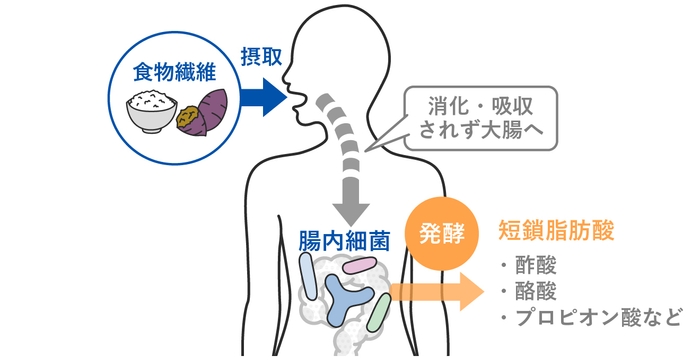 イメージ(3)