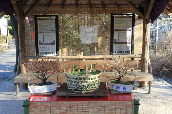ジャンボ七草籠の展示(過年度)