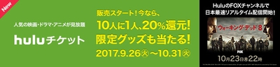 Huluチケット