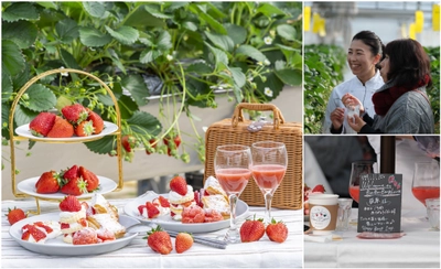 ＜いちご専門店の道の駅 いちごBonBonBERRY＞ 大好評の直営農園でのいちご狩りイベントを2026年も開催！