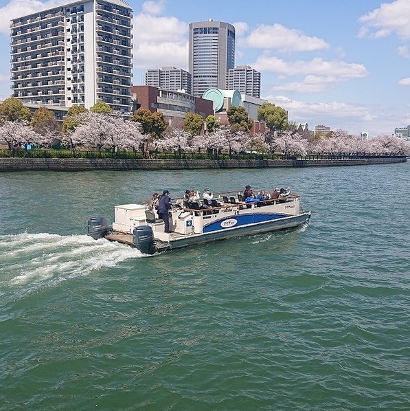 アクアmini 風景