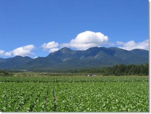 長野県南牧村で「好きにいこうmmm」を開催