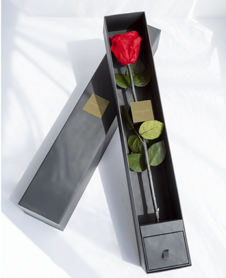 The One Special Edition 税別¥20,000