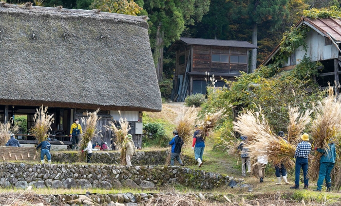 「地域遺産支援プログラム」のパイロット事業として、世界遺産白川郷で白川村と協働で実施した「茅刈りイベント」の様子