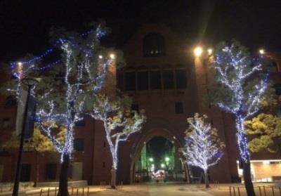 昨年のイルミネーションの様子(西門)