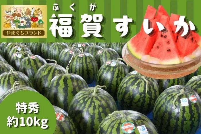 やまぐちブランド_1株1果どり_福賀すいか