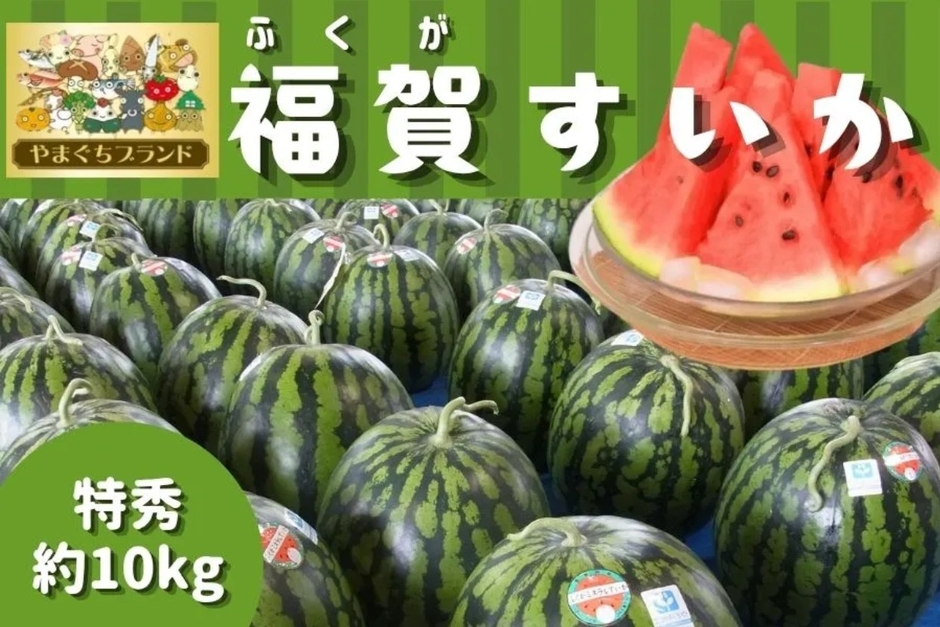 やまぐちブランド_1株1果どり_福賀すいか