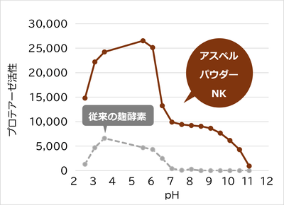 プロテアーゼ活性(タンパク質を分解する力)