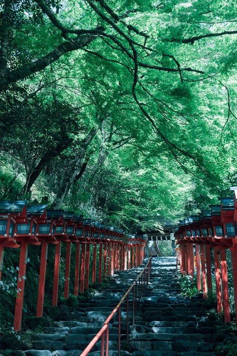 貴船神社　本宮参道