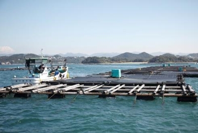 水産研究所白浜実験場 海上生簀