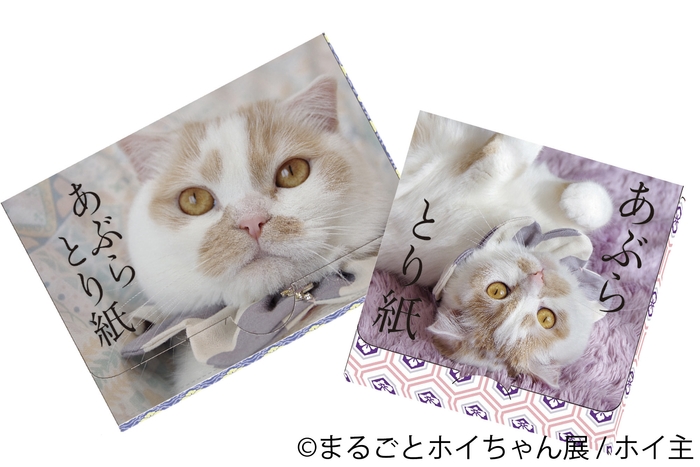 <ホイ主>あぶらとり紙 300円(税別)