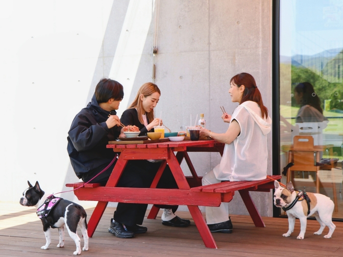 開放的なテラス席でペットとランチ