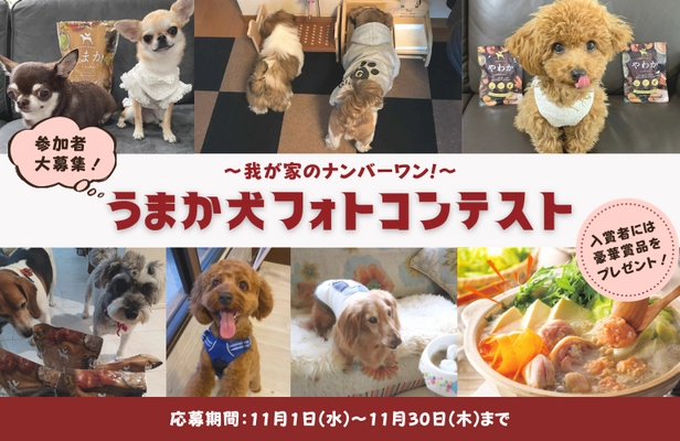 “博多華味鳥水たきセット”など豪華賞品をゲットしよう！ 「うまか犬フォトコンテスト」を11月1日からInstagramで開催！